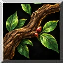 Ironwood Branch